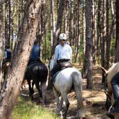 The Championships Tour, The Netherlands - Globetrotting horse riding holidays