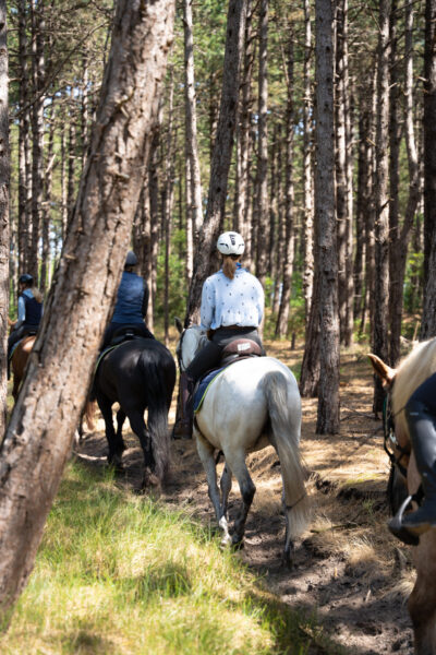 The Championships Tour, The Netherlands - Globetrotting horse riding holidays