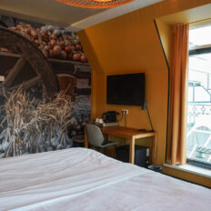 The Championships Tour, The Netherlands - Globetrotting horse riding holidays