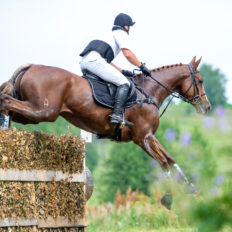 The Championships Tour, The Netherlands - Globetrotting horse riding holidays - image via Shutterstock