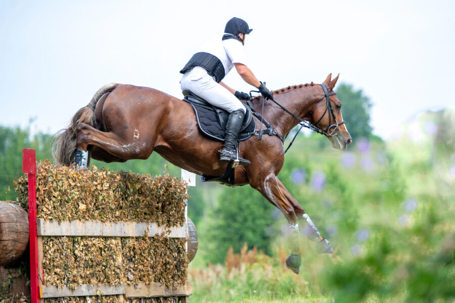 The Championships Tour, The Netherlands - Globetrotting horse riding holidays - image via Shutterstock