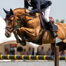 The Championships Tour, The Netherlands - Globetrotting horse riding holidays - image via Shutterstock