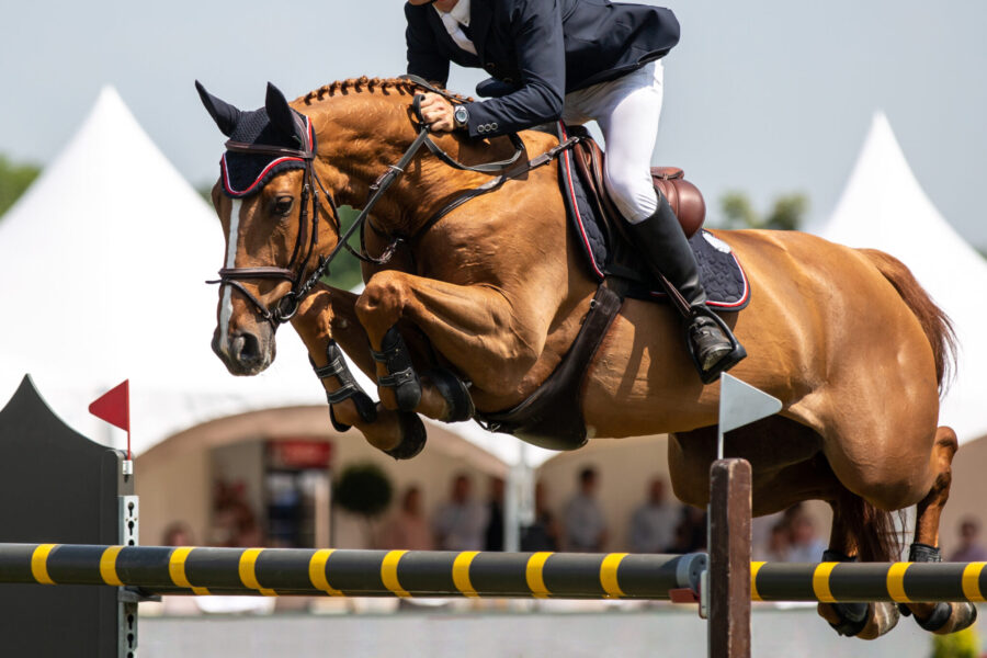 The Championships Tour, The Netherlands - Globetrotting horse riding holidays - image via Shutterstock