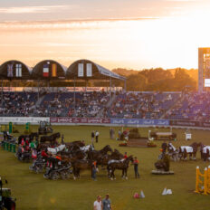 The Championships Tour, The Netherlands - Globetrotting horse riding holidays - image by Kirsty Pasto Media.