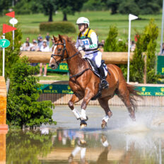 The Championships Tour, The Netherlands - Globetrotting horse riding holidays - image by Kirsty Pasto Media.
