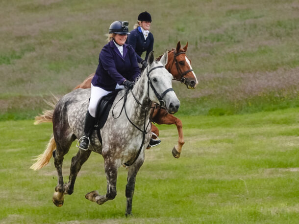 Scottish Borders Ride, Scotland, Globetrotting Horse Riding Holidays
