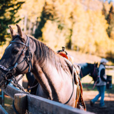 Banff Border Ride, Alberta, Canada