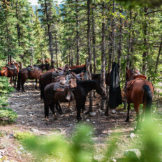 Banff Border Ride, Alberta, Canada