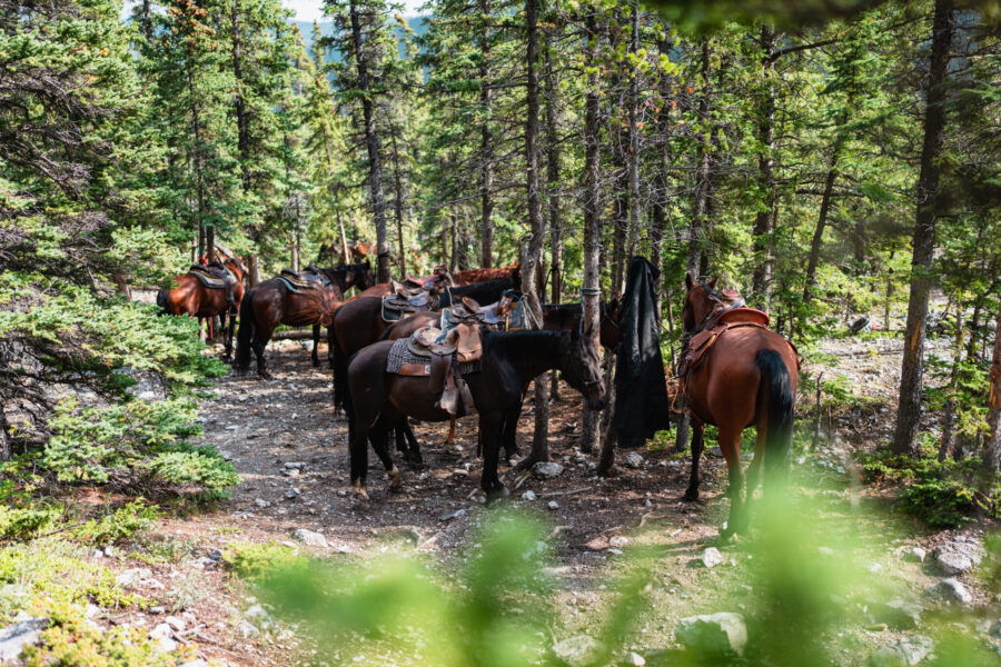 Banff Border Ride, Alberta, Canada