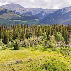 Banff Border Ride, Alberta, Canada