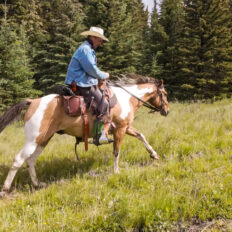 Banff Border Ride, Alberta, Canada