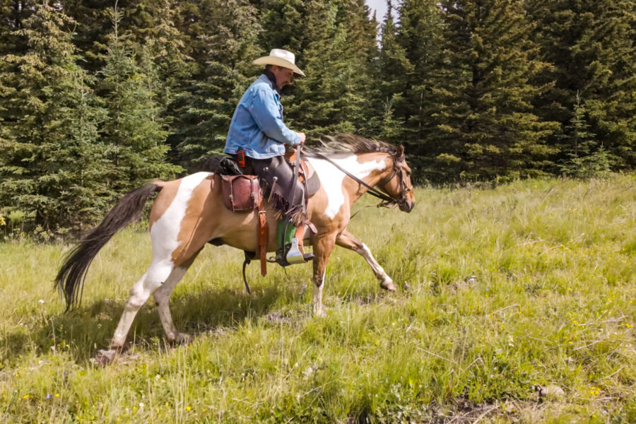 Banff Border Ride, Alberta, Canada