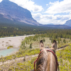 Banff Border Ride, Alberta, Canada