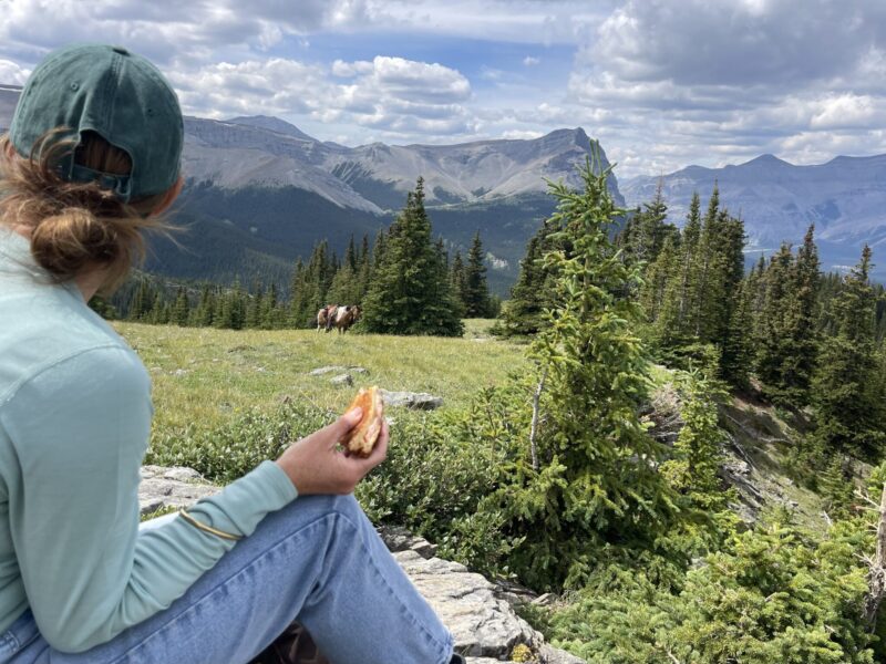 Banff Border Ride, Alberta, Canada - Globetrotting horse riding holidays