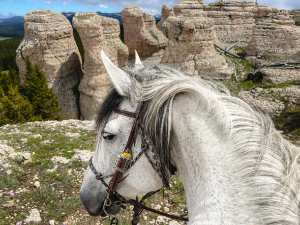 Shell, Wyoming, USA, Globetrotting Horse Riding Holidays