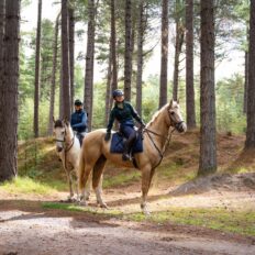The Scottish Jewel, Scotland - Globetrotting horse riding holidays
