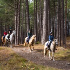 The Scottish Jewel, Scotland - Globetrotting horse riding holidays