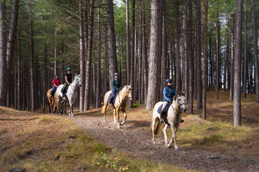 The Scottish Jewel, Scotland - Globetrotting horse riding holidays