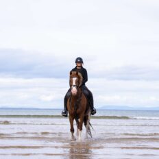 The Scottish Jewel, Scotland - Globetrotting horse riding holidays
