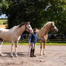 The Scottish Jewel, Scotland - Globetrotting horse riding holidays
