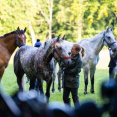 The Scottish Jewel, Scotland - Globetrotting horse riding holidays