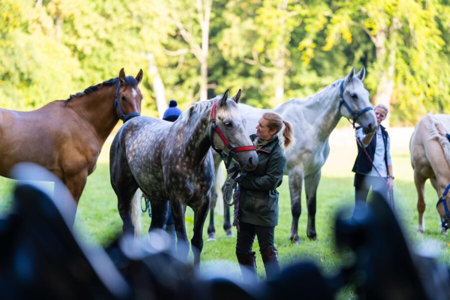 The Scottish Jewel, Scotland - Globetrotting horse riding holidays