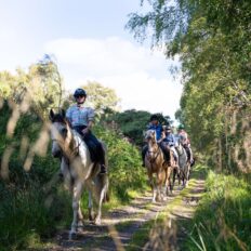 The Scottish Jewel, Scotland - Globetrotting horse riding holidays