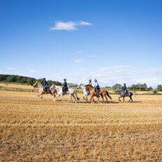 The Scottish Jewel, Scotland - Globetrotting horse riding holidays