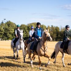 The Scottish Jewel, Scotland - Globetrotting horse riding holidays