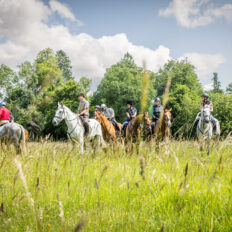 The Cotswolds Ride, England, UK - Globetrotting horse riding holidays
