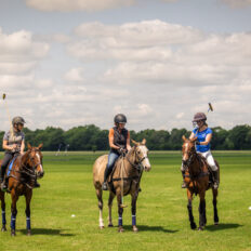 The Cotswolds Ride, England, UK - Globetrotting horse riding holidays