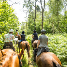 The Cotswolds Ride, England, UK - Globetrotting horse riding holidays