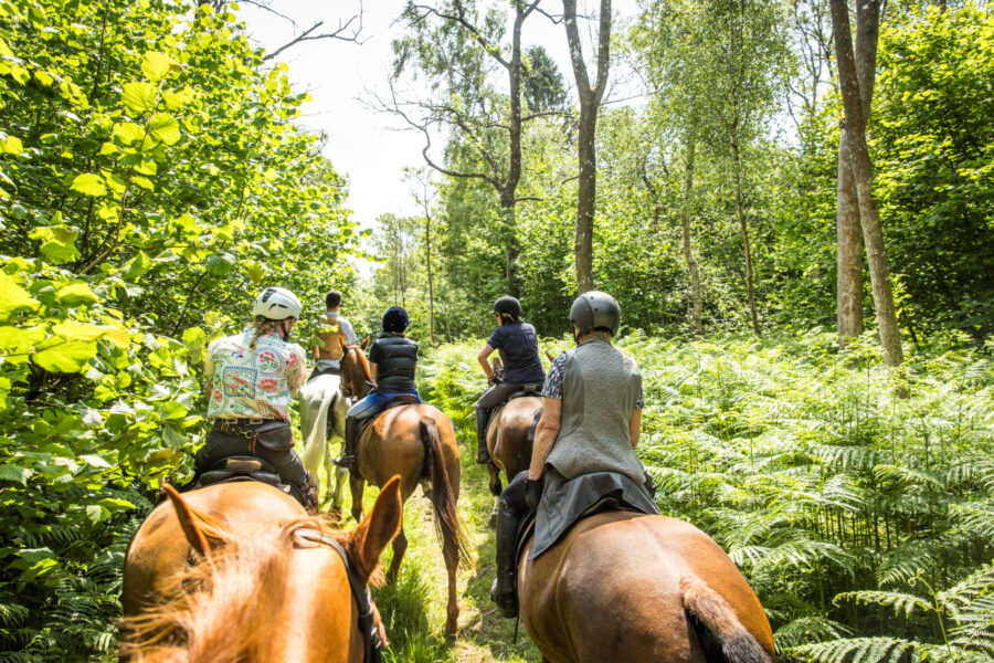 The Cotswolds Ride, England, UK - Globetrotting horse riding holidays