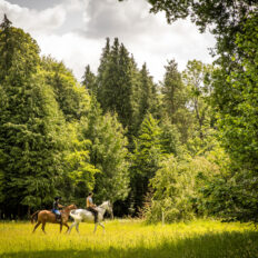 The Cotswolds Ride, England, UK - Globetrotting horse riding holidays