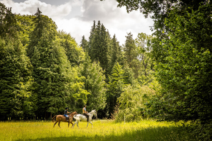The Cotswolds Ride, England, UK - Globetrotting horse riding holidays
