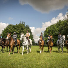 The Cotswolds Ride, England, UK - Globetrotting horse riding holidays