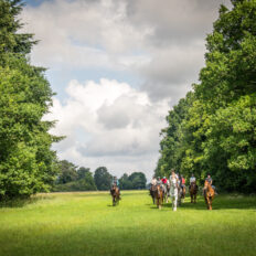 The Cotswolds Ride, England, UK - Globetrotting horse riding holidays