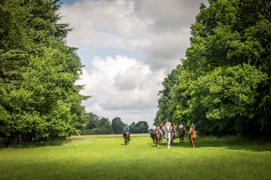 The Cotswolds Ride, England, UK - Globetrotting horse riding holidays