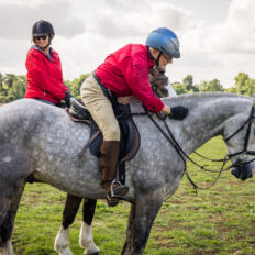 The Cotswolds Ride, England, UK - Globetrotting horse riding holidays