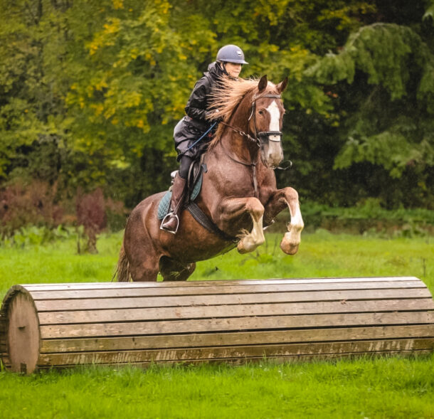 Cross Country in Tipperary, Ireland, Globertotting Horse Riding Holidays