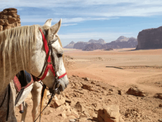 Wadi Rum Ride, Jordan - Globetrotting horse riding holidays