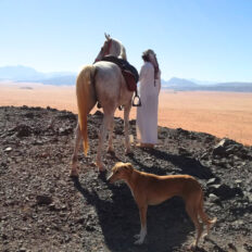 The Wadi Rum Ride, Jordan - Globetrotting horse riding holidays