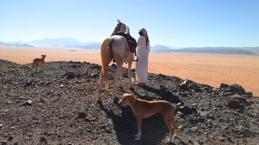 The Wadi Rum Ride, Jordan - Globetrotting horse riding holidays