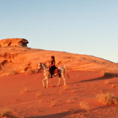 The Wadi Rum Ride, Jordan - Globetrotting horse riding holidays