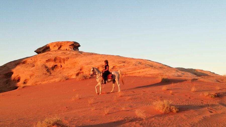 The Wadi Rum Ride, Jordan - Globetrotting horse riding holidays