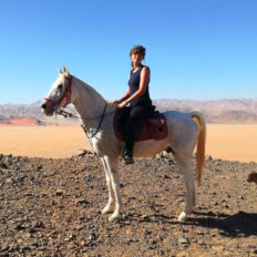 The Wadi Rum Ride, Jordan - Globetrotting horse riding holidays