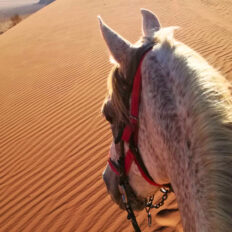 The Wadi Rum Ride, Jordan - Globetrotting horse riding holidays
