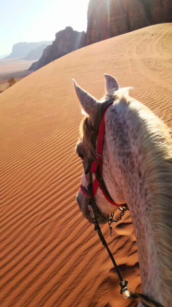 The Wadi Rum Ride, Jordan - Globetrotting horse riding holidays