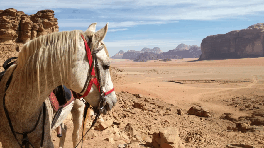 The Wadi Rum Ride, Jordan - Globetrotting horse riding holidays