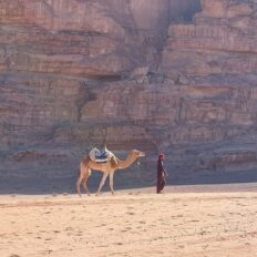 The Wadi Rum Ride, Jordan - Globetrotting horse riding holidays